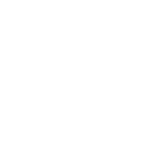 Lesedi icon-white life